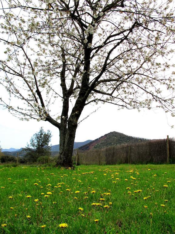 Can Janot Villa Olot Cameră foto